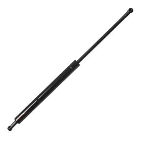 Window Struts