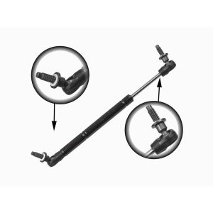 bonnet gas struts