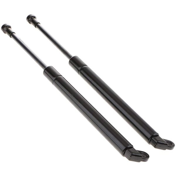 Hydraulic Mighty Lift Lift Support Gastac