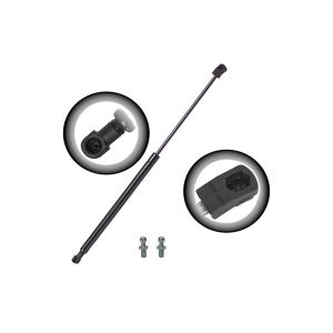 Lexus RX350 Hood Struts