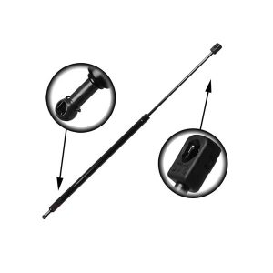 Ford Focus Gas Strut
