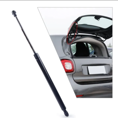 Heckklappendämpfer Smart 451