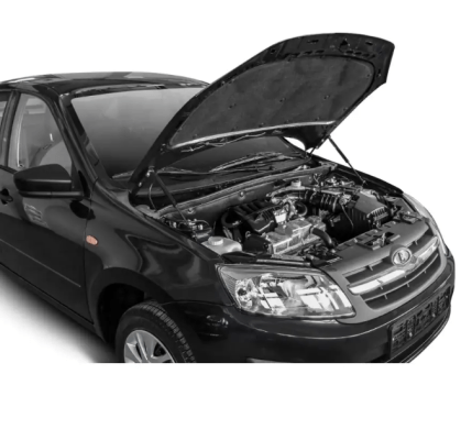 газовые упоры капота гранта