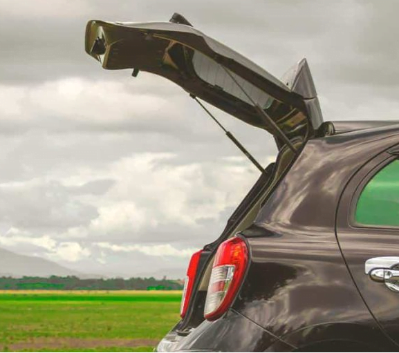 Mola a gás automotiva