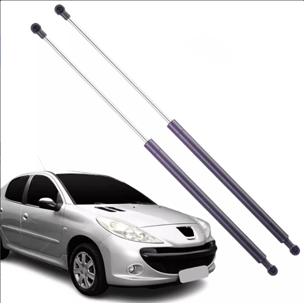 Mola porta malas peugeot 207 passion