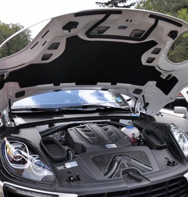 Vérins à gaz pour capots et panneaux