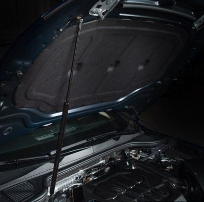 Vérins à gaz pour capots et panneaux