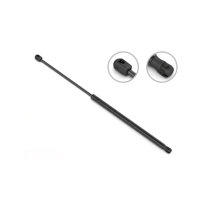 Tailgate Struts - Image 5