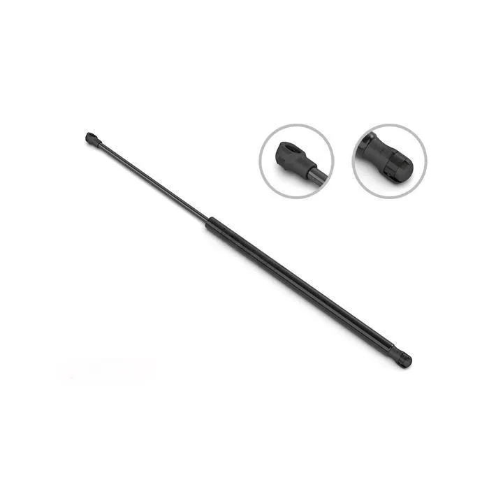 Tailgate Struts - Image 4