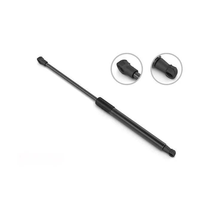 Tailgate Struts - Image 2