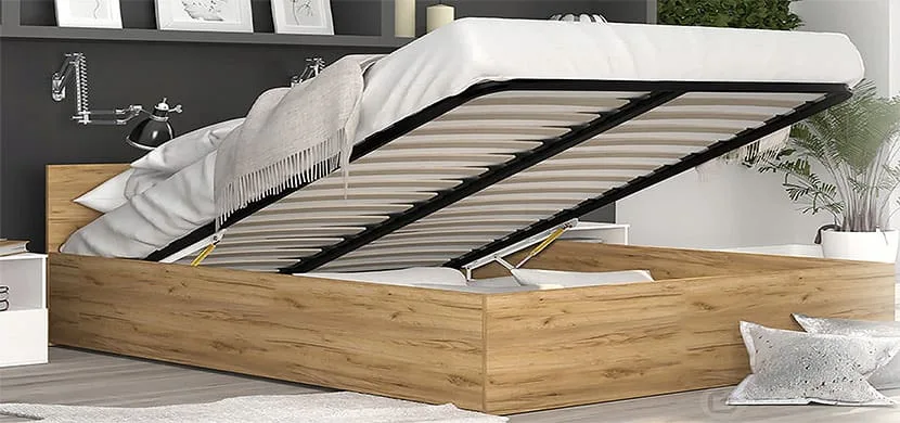 Bed Lift Hydraulic 1 Bed Lift Hydraulic 1