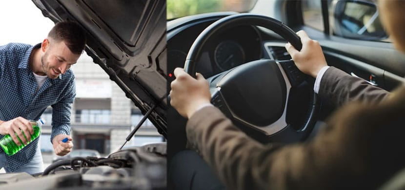 Bonnet Struts 1 Bonnet Struts 1