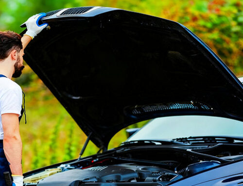 Car Hood Struts Replacement