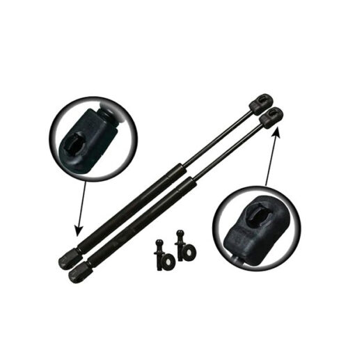 Amortisseurs de coffre de la Chrysler 300