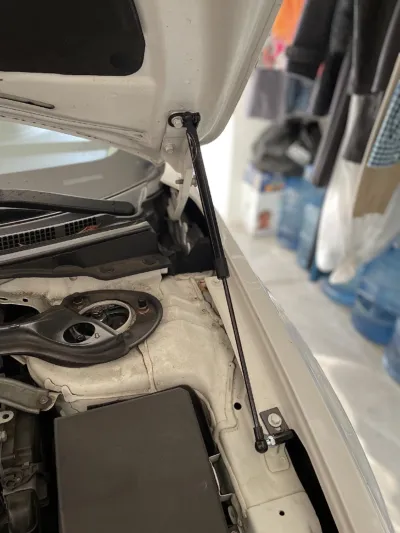 EVO X Hood Strut