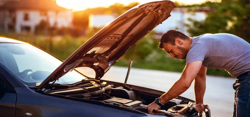 Hydraulic Bonnet Struts