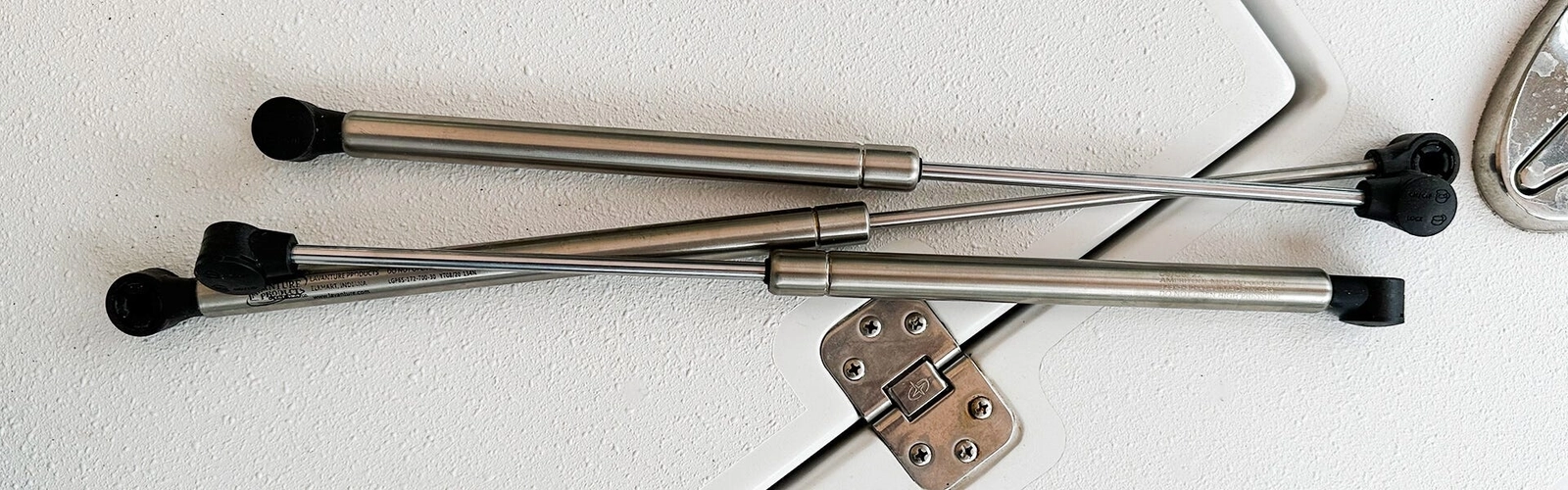 Marine Stainless Steel Gas Struts