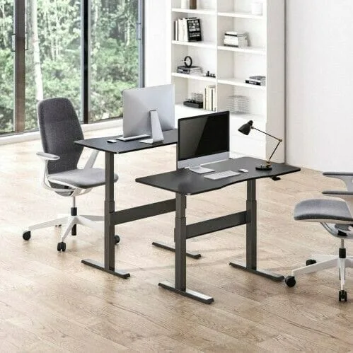Pneumatic Adjustable Desk 2