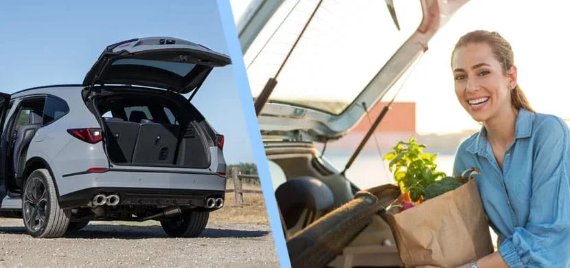 Trunk Struts with OEM Quality and Scalable Production Power