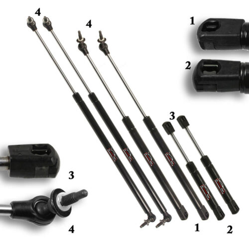 apia2b8zg  79112.1647453496