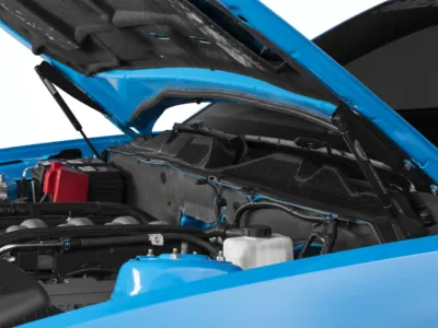 ford performance hood struts
