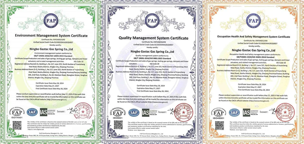 gas spring strut Certificate