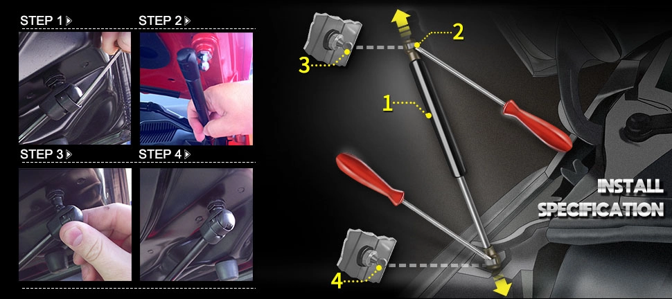 replace hydraulic bonnet struts 2