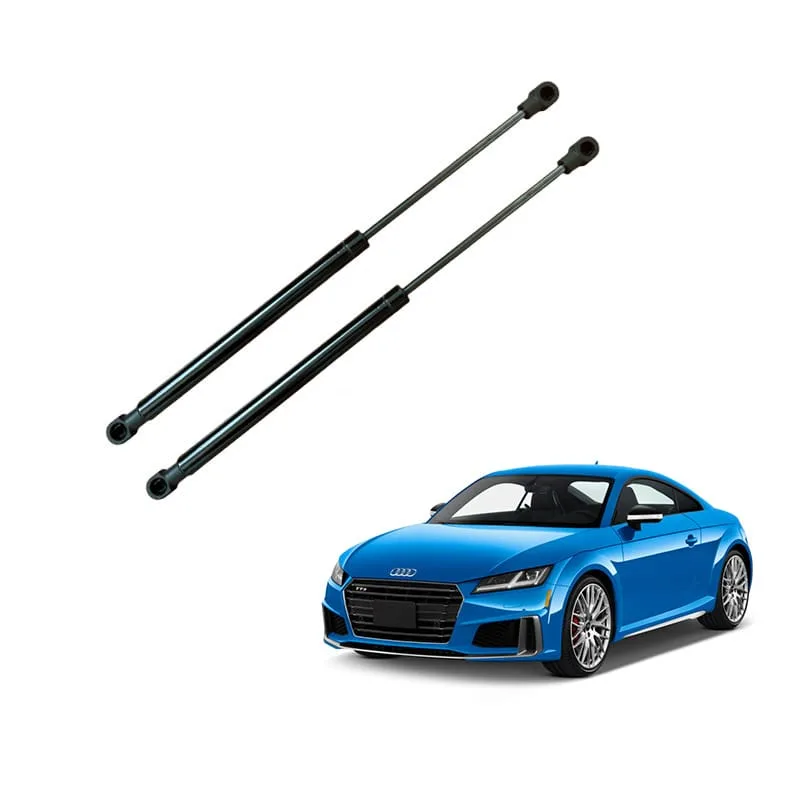 Audi TT Boot Struts