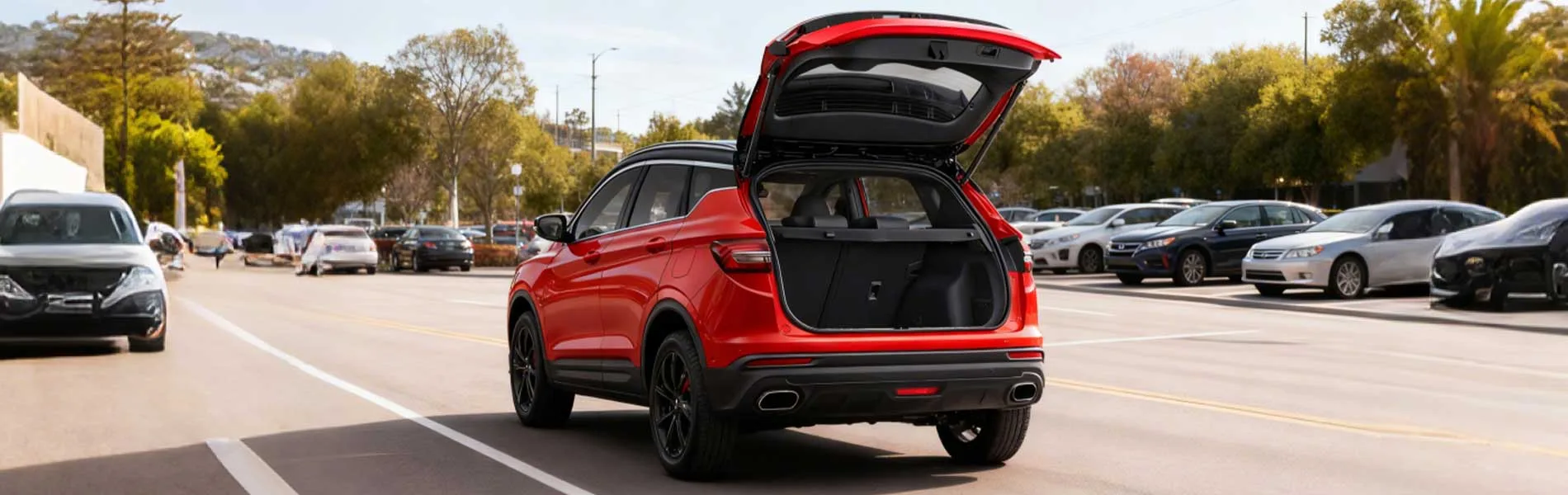 Car Gas Struts 1 Car Gas Struts 1