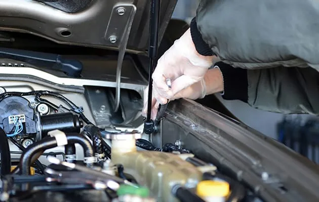 GASTAC Bonnet Struts