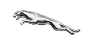 Jaguar gas spring