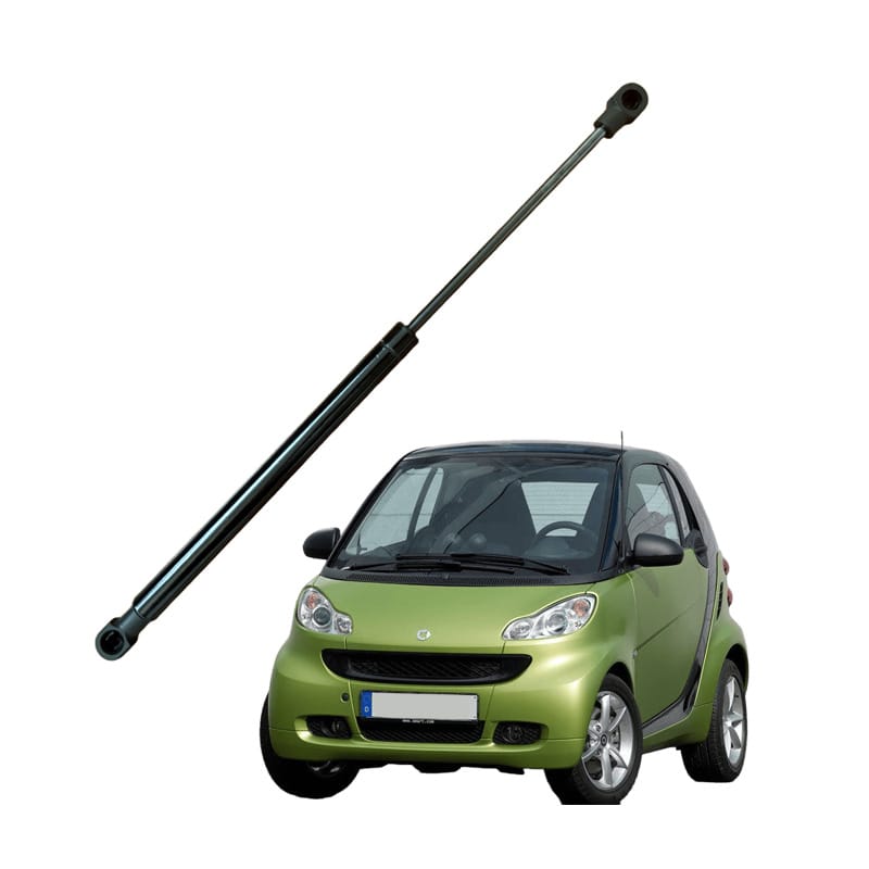 Pistoncini Cofano Smart 451