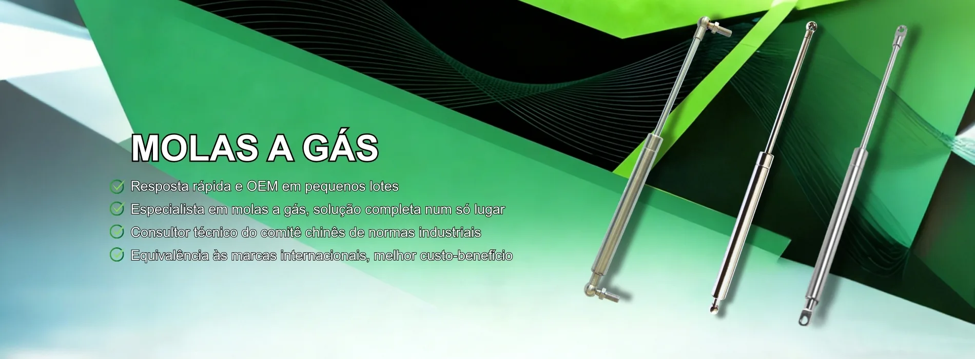 mola a gas inox