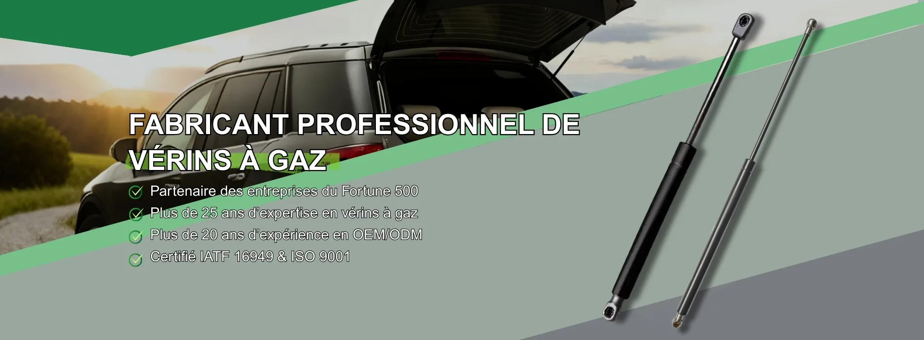 verins a gaz