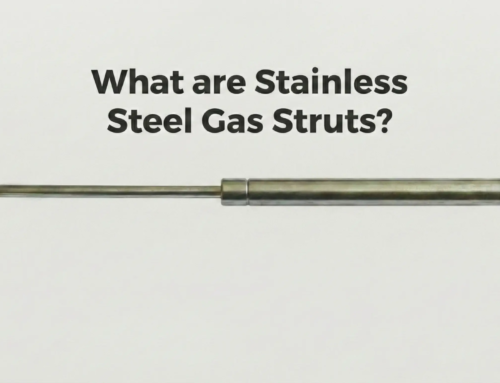 What are Stainless Steel Gas Struts?