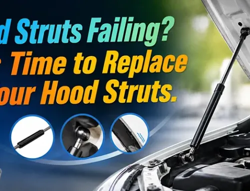 How to Change Hood Struts