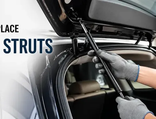 How to Replace Trunk Struts